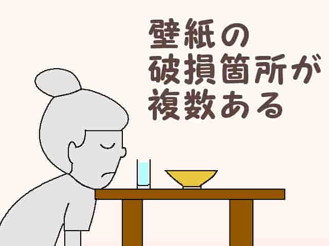 「壁紙の破損箇所が複数ある」のページタイトル画像