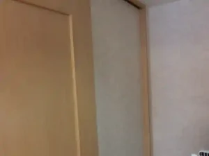 戸袋（引き戸）の裏にある壁紙がわかる画像