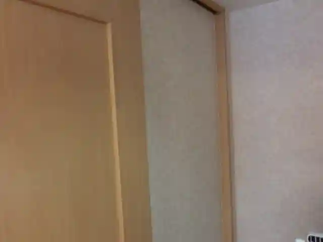 引き戸の裏の壁紙