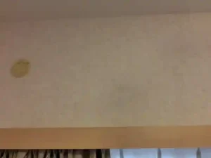 同じ壁紙を使い、「部分補修」で違和感なく補修できた状態