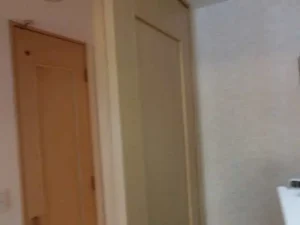 引き戸の裏側の壁が「戸袋」