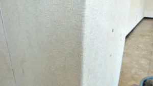 ロット違いの同じ品番の壁紙で補修した様子