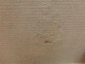 破れて分離した壁紙も貼り戻した様子