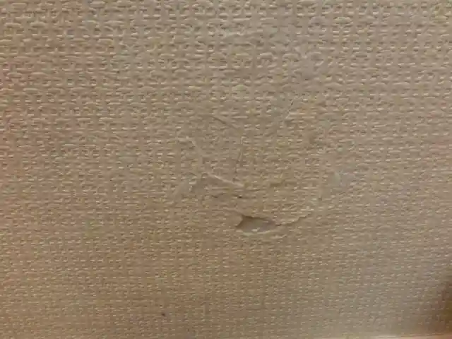 破れて分離した壁紙も貼り戻した様子