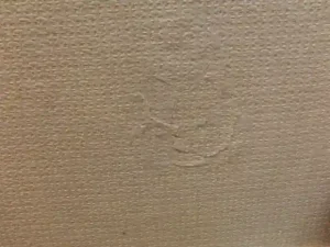 少しずつつなぎ目を合わせている様子