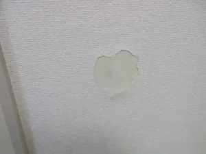 下地を補修して、めくった壁紙を戻した状態