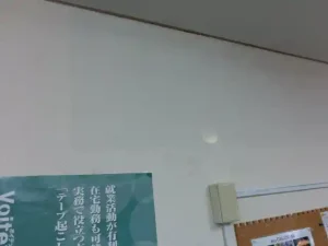 新しい壁紙で貼り替えた状態