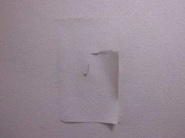 破れた壁紙を貼り戻した状態