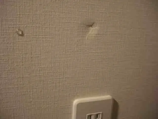 へこみが浅く小さい