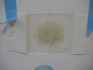 壁紙をめくって、パテで補修した様子