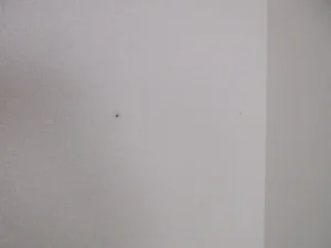 壁にアンカーを取り付けた跡