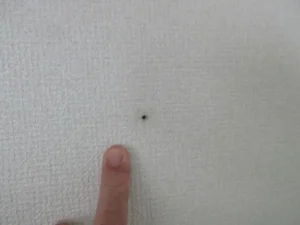 アップで見た壁にアンカーを取付けた跡