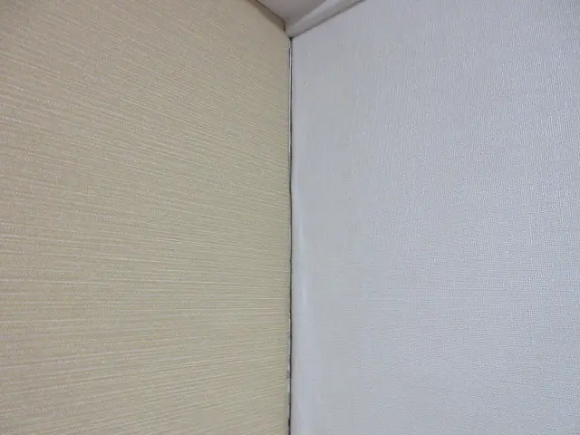 カビが生えた入り隅を近くから見た状態
