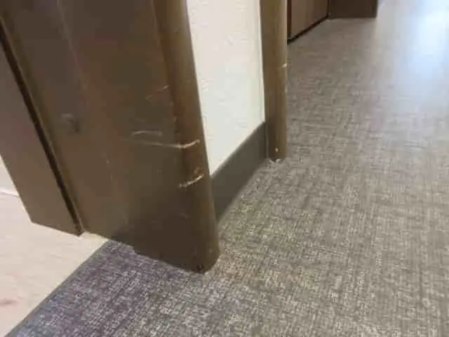 部屋入り口の枠下部にひっかき傷が付いた状態