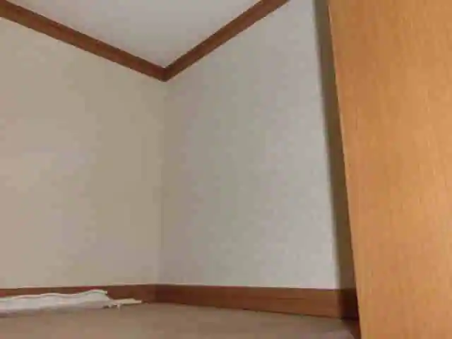 天袋の中