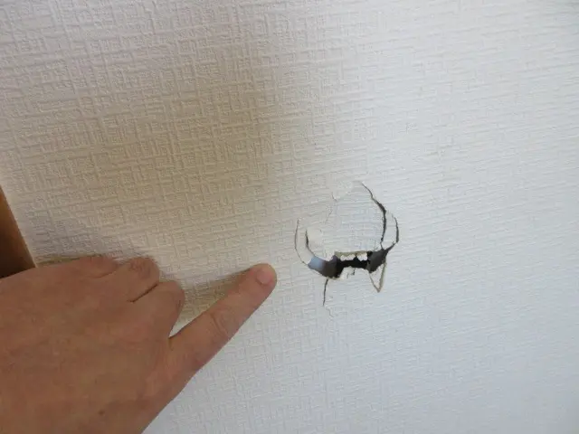 １０センチくらいの壁穴が空いている状態