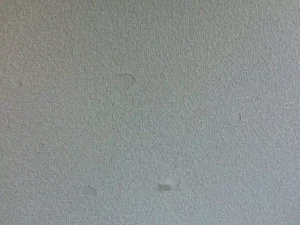 壁紙が所々剥がれている現状の様子