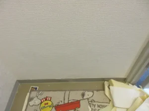 全く違う白無地の壁紙を貼った様子