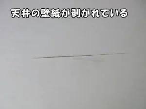 天井の壁紙が剥がれている状態