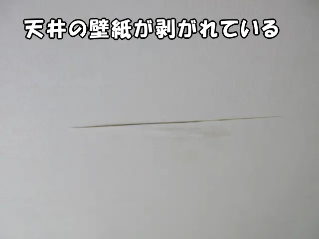 天井の壁紙が剥がれている状態