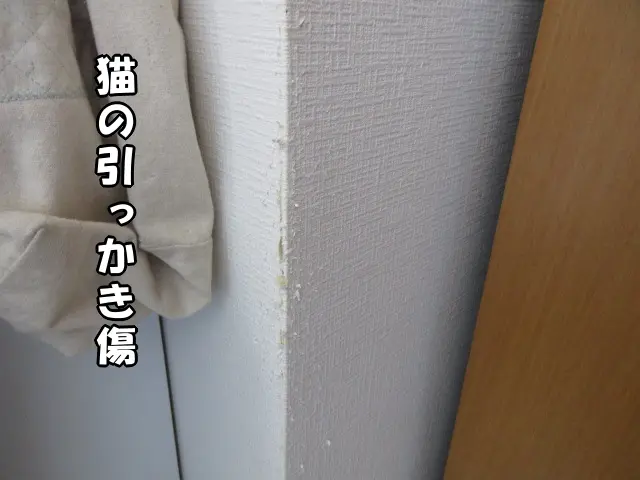 壁の角に猫の爪研ぎ跡がある様子