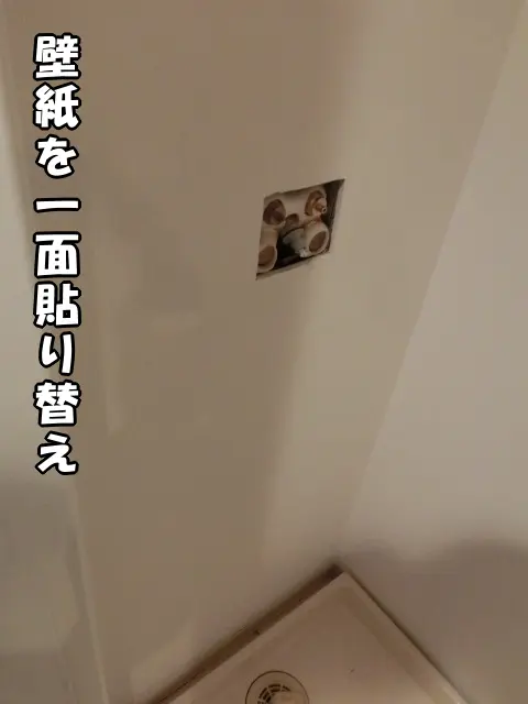 壁紙を壁一面貼り替えた様子