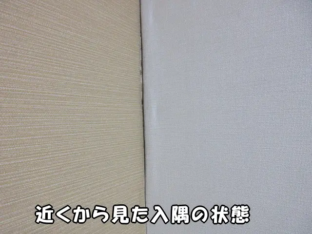 カビが生えた入隅を近くから見た状態