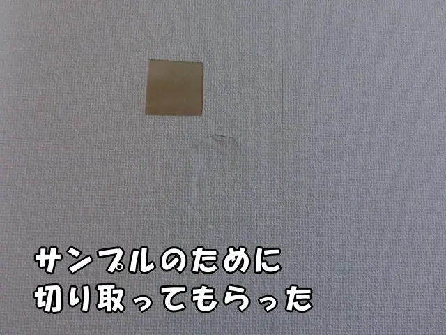 壁紙を探すためにサンプルとして壁紙を一部はがしてもらいました。