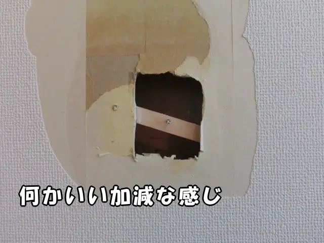 補修した箇所を除去したら、少々仕事がいい加減な感じがわかる様子
